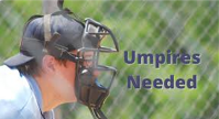 Umpire Clinic